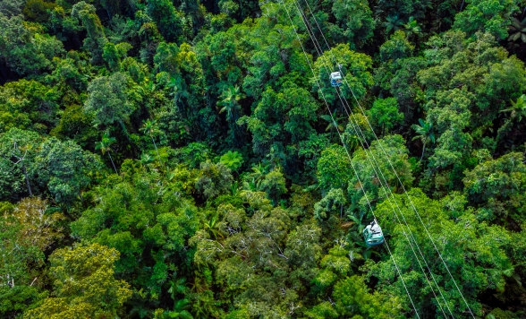 ケアンズ観光8時間 ＜専用車利用│英語ドライバーがお迎え＞